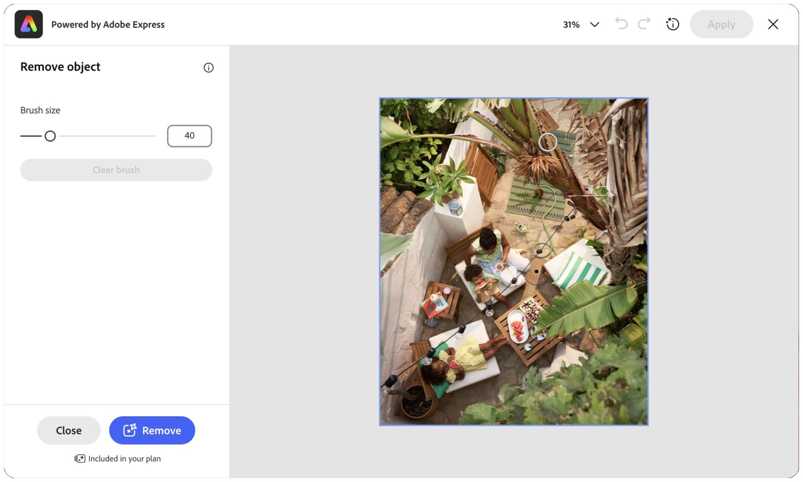 After: a simpler Remove object tool with just a brush size and a Remove button.