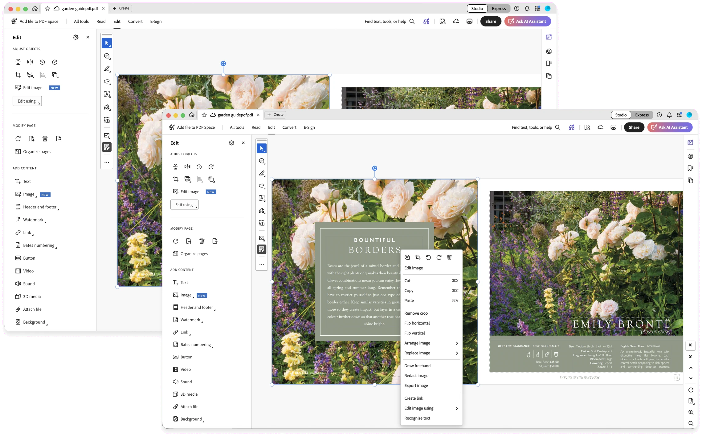 First placement: Edit image tucked into Acrobat's side panel, and in a long right-click menu.