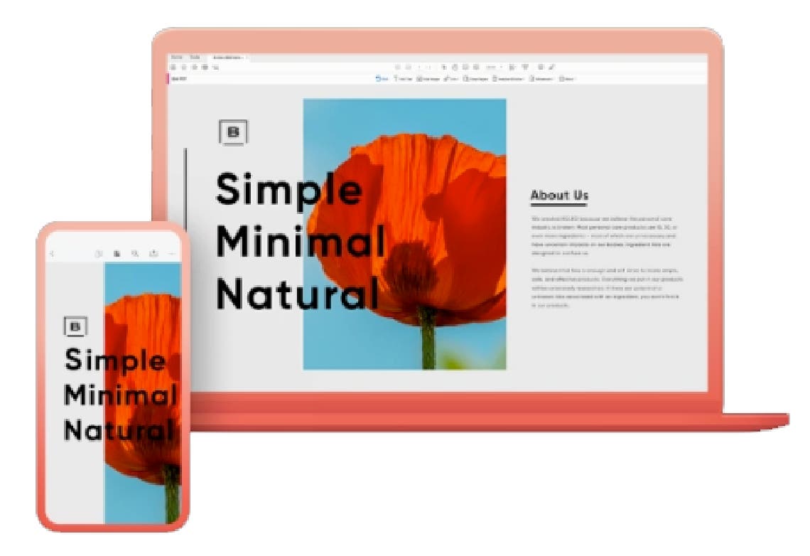 Acrobat Pro Teams trial